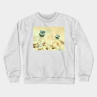 Mold under the microscope Crewneck Sweatshirt